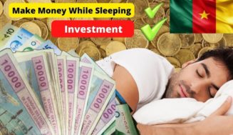 How to make money online with investment opportunities in Cameroon – Investment companies & Platforms