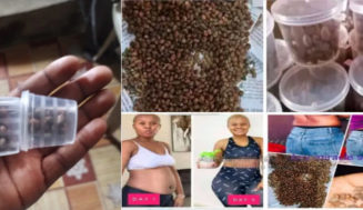 How to use Miracle Seed for Weight Loss in Cameroon